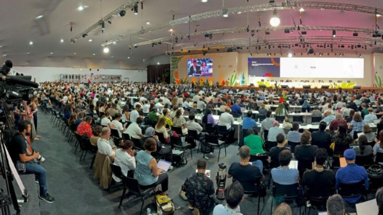 À Belém, jusqu’à la fin, une COP brésilienne dans le désordre