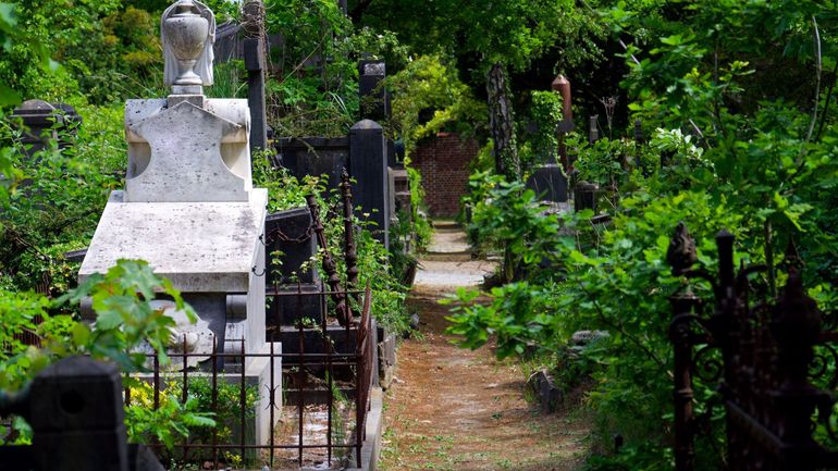 Les cimetières belges se transforment en havres de paix et de biodiversité Les cimetières belges se transforment en havres de paix et de biodiversité