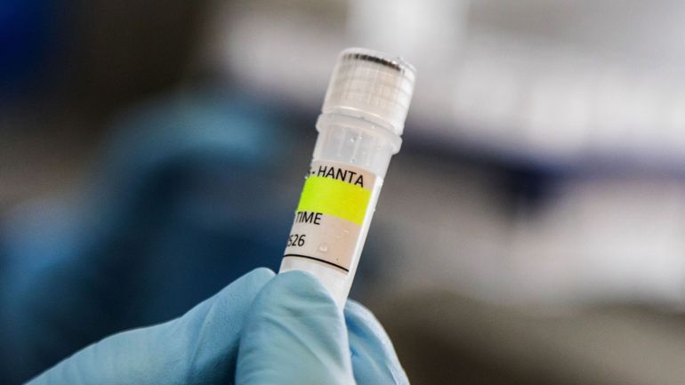 Hantavirus sur un bateau de croisière : une femme ayant voyagé avec la Néerlandaise décédée est hospitalisée en Espagne