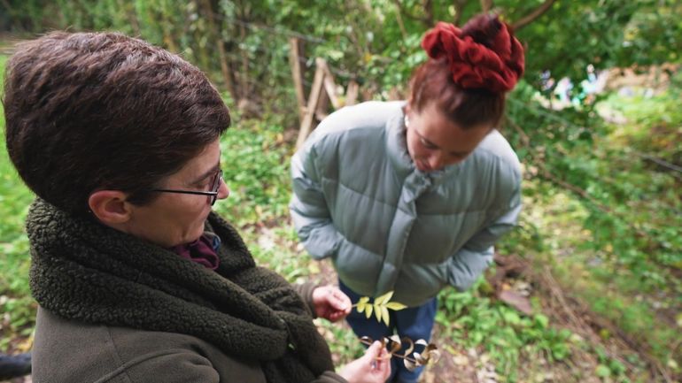 Passeurs d’arbres à Liège : un réseau citoyen pour planter un maximum au cœur des quartiers Passeurs d’arbres à Liège : un réseau citoyen pour planter un maximum au cœur des quartiers