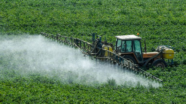 Contrôle des pesticides : Foodwatch appelle l’UE à agir contre les substances interdites dans les aliments importés