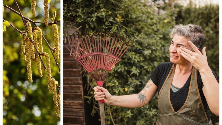 Les pollens et graminées importunent les allergiques : 5 questions au pneumo-allergologue Olivier Michel