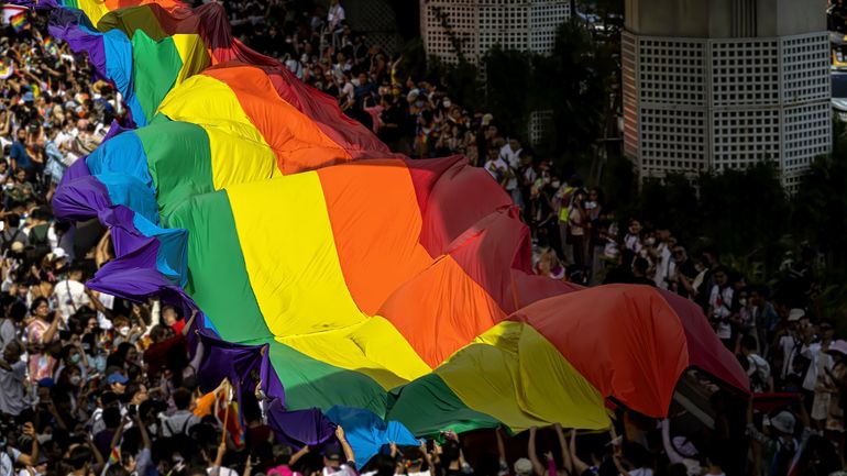 "On a peur de se tenir la main" : l'alerte des associations LGBTQIA + face à la montée de la haine