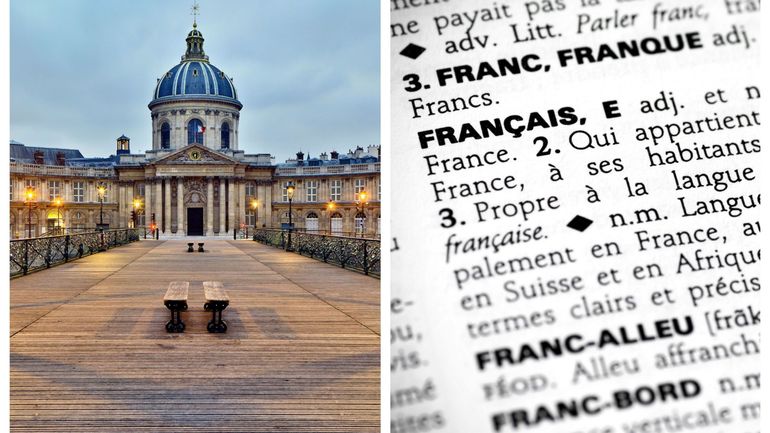 Vocabulaire : l'Académie française entame la 10e édition de son dictionnaire et espère la terminer vers 2050