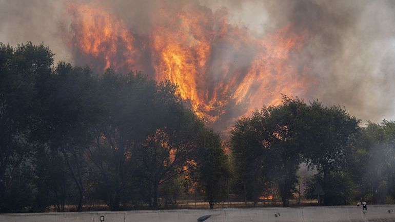 Incendies en France et en Espagne : 270.000 personnes évacuées et plus de 100.000 hectares brûlés