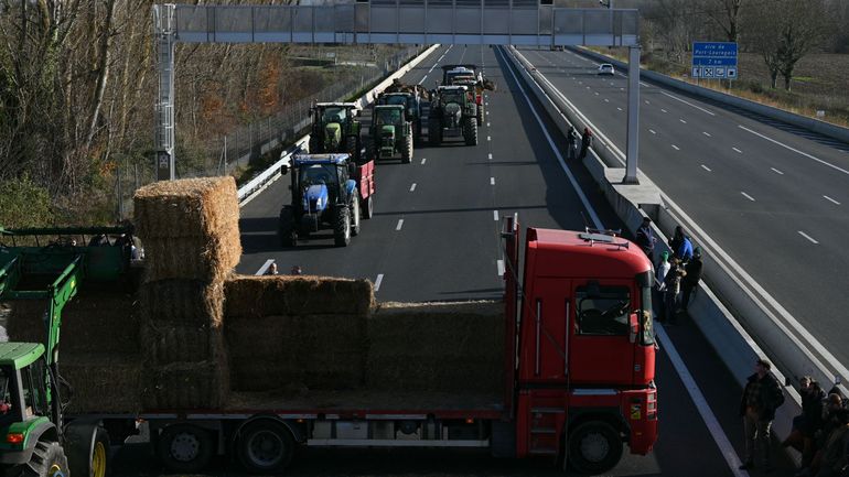 "L’abattage total. Nous, on est contre": la mobilisation enfle dans le sud-ouest de la France malgré les annonces ministérielles pour gérer l’épidémie de dermatose