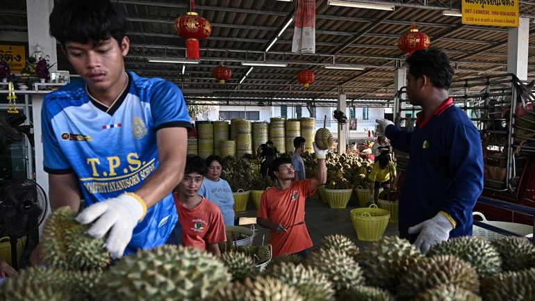 Vers un cessezlefeu ? Thaïlande et Cambodge lancent des pourparlers décisifs