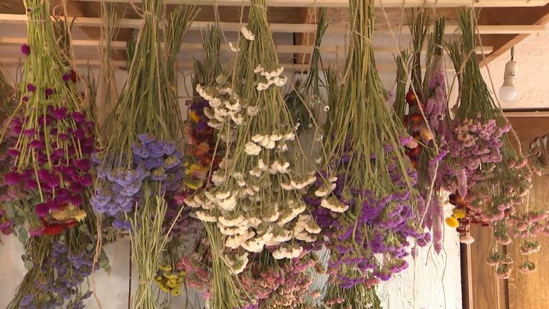 Quand les fleurs séchées prolongent l'été