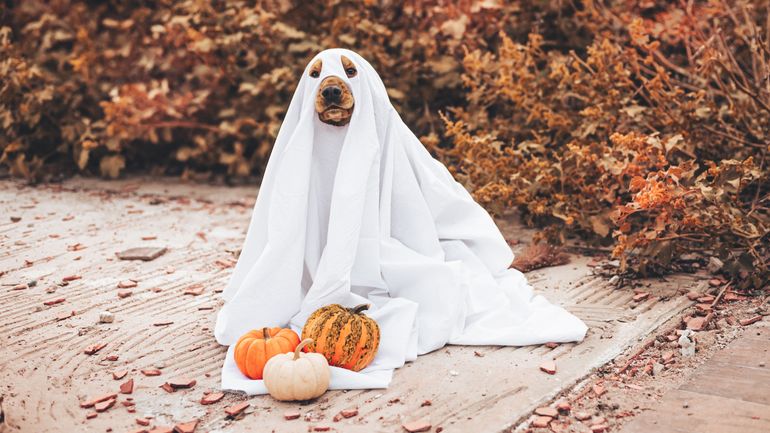 Le top des bonnes nouvelles de la semaine : 5 infos positives pour bien commencer ce mois de novembre