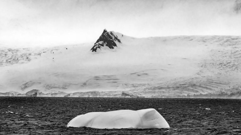 Tombeau d'Hitler et soucoupes volantes : l'Antarctique, dernier refuge des secrets du troisième Reich ?