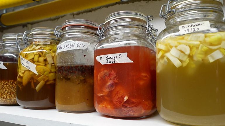 Kombucha : un restaurant étoilé transforme ses restes de cuisine en boissons raffinées