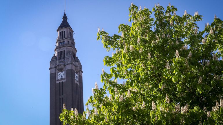 Charleroi : le "Resto du Cœur" recrute des bénévoles