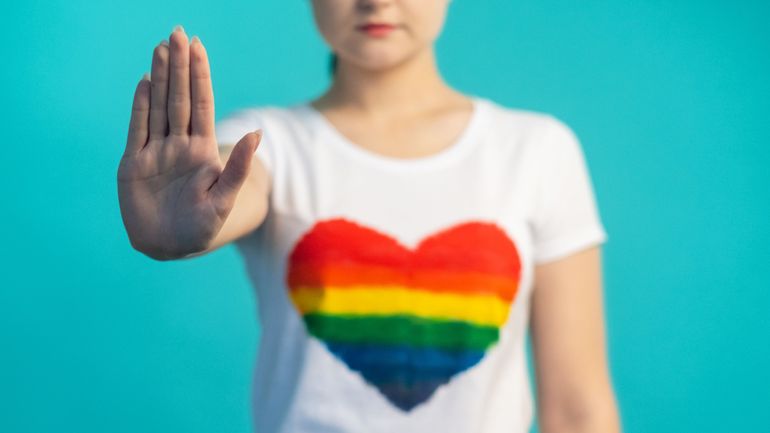 Violences envers les personnes LGBTQIA + : le Parlement bruxellois demande au gouvernement régional d’élaborer un plan de lutte Violences envers les personnes LGBTQIA + : le Parlement bruxellois demande au gouvernement régional d’élaborer un plan de lutte