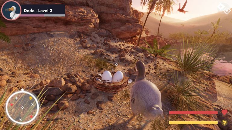 "Bird Game 3" : un phénomène viral sur TikTok qui devrait donner naissance à un vrai jeu vidéo