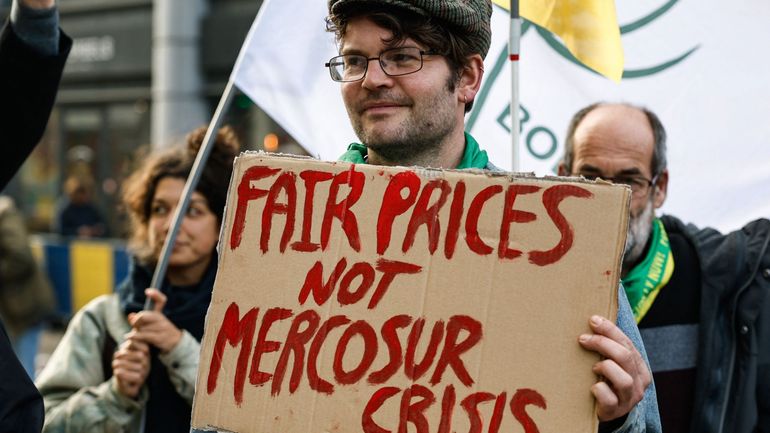 Le Parlement européen approuve des mesures supplémentaires visant à protéger les agriculteurs contre d'éventuelles fluctuations des prix du marché