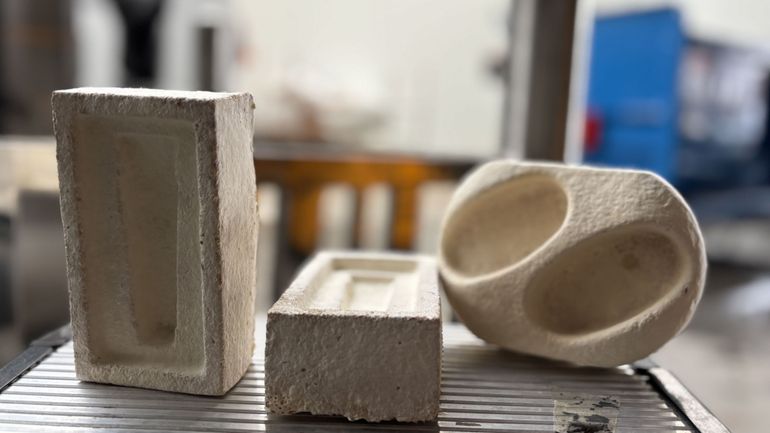 Des emballages à base de champignons ou d'algues : les innovations arrivent dans nos rayons