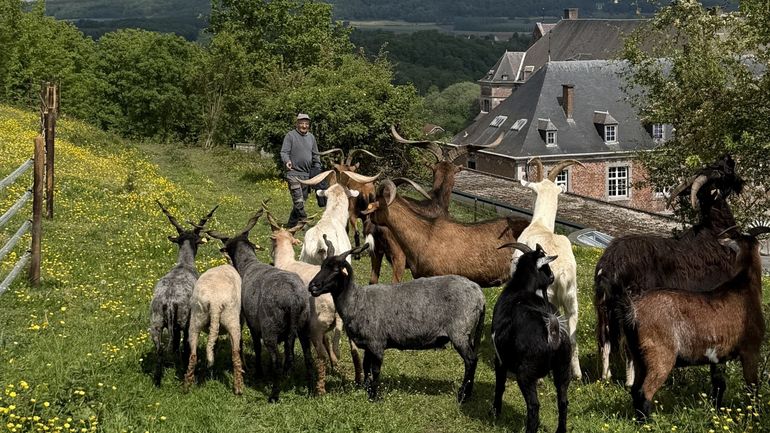 L'abbaye de Floreffe, terre promise des animaux en péril