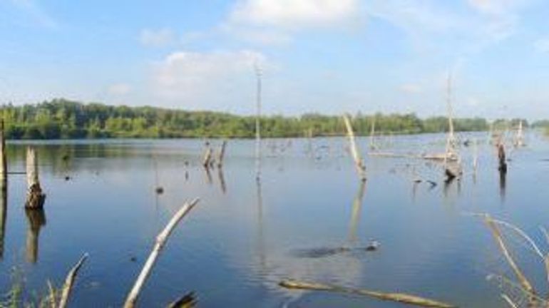 Un grand bol d’air, ça vous dit ? Natagora a des idées pour vous !