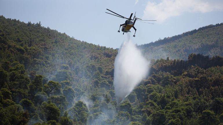 Incendie en Grèce : un nouveau feu de forêt se déclare près de Thessalonique