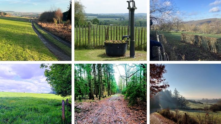 Les 21 marches Adeps du dimanche 8 mars en Wallonie