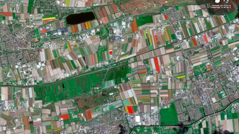 L'image satellite du jour : les tulipes en pleine floraison aux Pays-Bas forment des tableaux éclatants depuis l'espace