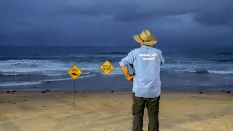 Australie : Sydney ferme ses plages suite à une attaque de requin