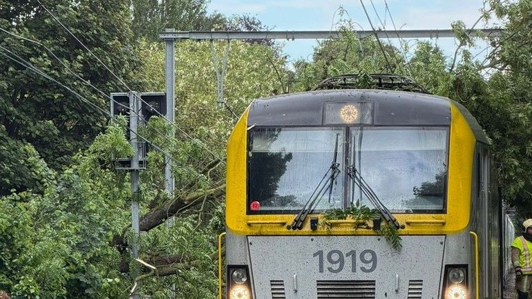 Uccle : un arbre tombe sur un train, pas de blessés, l’évacuation des passagers est terminée