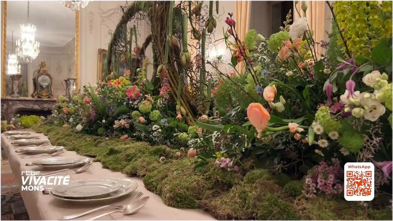 De Amaryllis van Belœil: een bloemenfeest in het hart van een uitzonderlijk kasteel