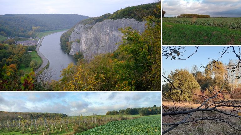 Les marches Adeps de ces 1er et 2 novembre organisées en Wallonie Les marches Adeps de ces 1er et 2 novembre organisées en Wallonie