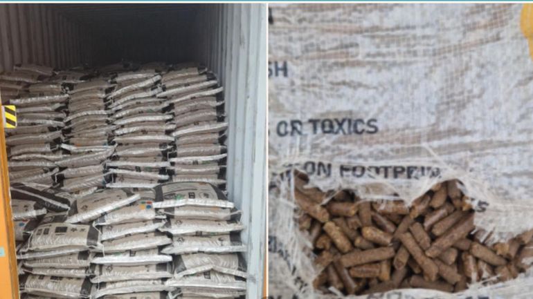 Hainaut : quatre personnes sous mandat d'arrêt pour organisation criminelle après la découverte de plus d'une tonne de cocaïne à Anvers