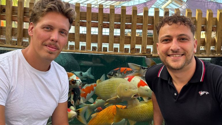 Des poissons japonais qui se collectionnent comme des œuvres d’art : Japan Koï, à Leuze-en-Hainaut est un des rares éleveurs des célèbres carpes décoratives