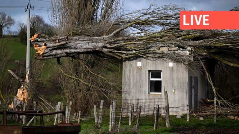 Direct - La Tempête Goretti frappe la Belgique : les vents faiblissent chez nous, alors que 320 000 foyers sont privés d'électricité en France