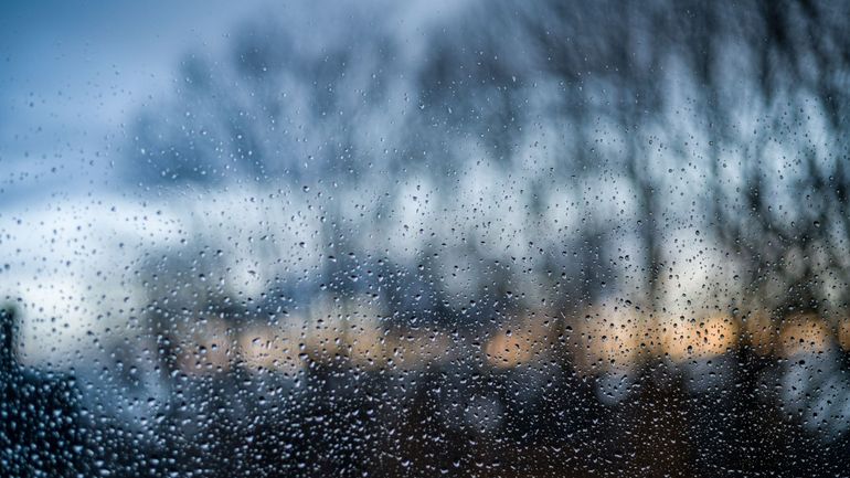 Pluies records en 2024, sécheresse en 2025 : comprendre le paradoxe pluviométrique en Belgique