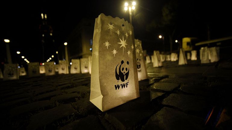 WWF-Belgique lance un appel pour récolter des cartes de collection qui seront vendues au profit d'espèces menacées