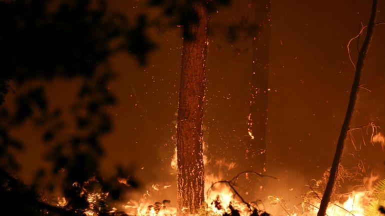 Incendie dans les Landes : reprise de feu dans la nuit, 1580 hectares brûlés