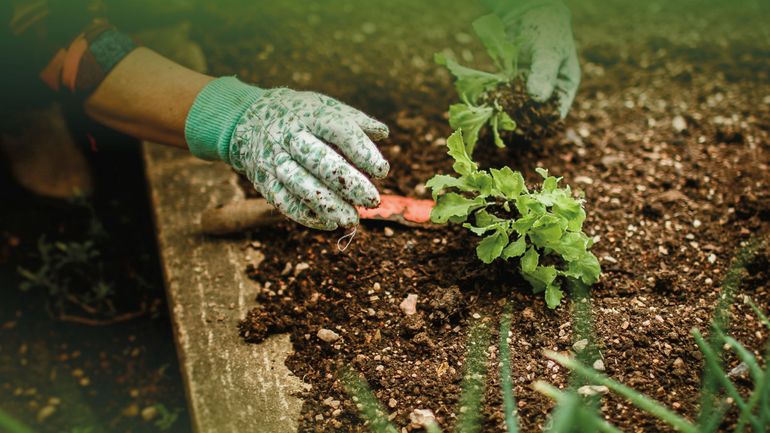 Le Jardin de Demain : Adalia 2.0 lance des formations pratiques pour toutes et tous