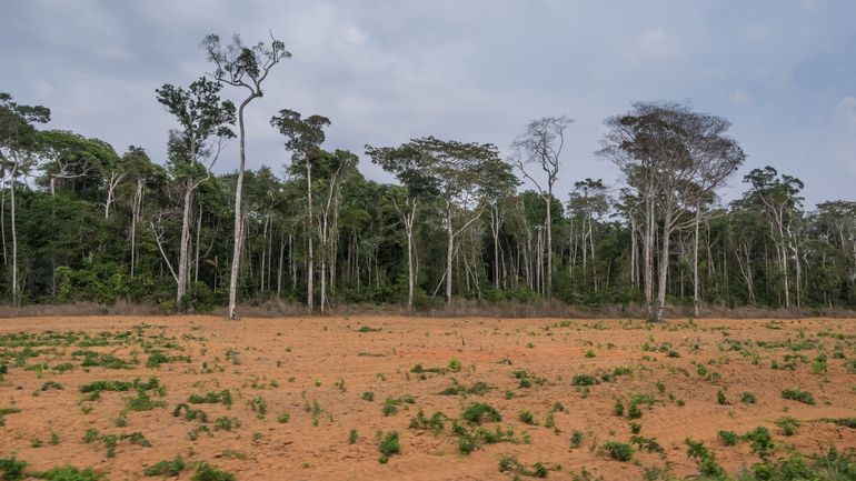 Le Brésil est-il en mesure de respecter ses engagements climatiques ?