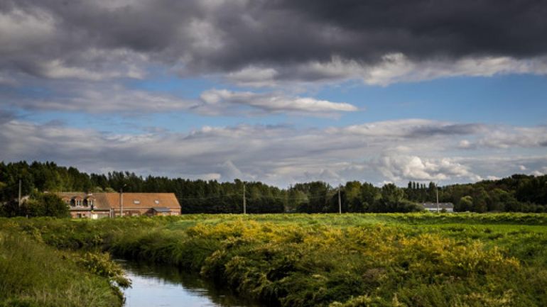 Les cours d'eau flamands ont connu des températures records cet été