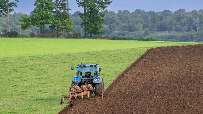 La Wallonie donne son feu vert à la ratification du CETA, un signal négatif pour les agriculteurs wallons selon la Fugea