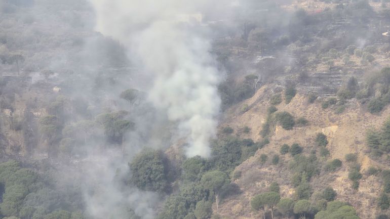 Liban : l’armée israélienne dit avoir frappé un camp d’entraînement du mouvement islamiste palestinien Hamas, au moins 11 morts
