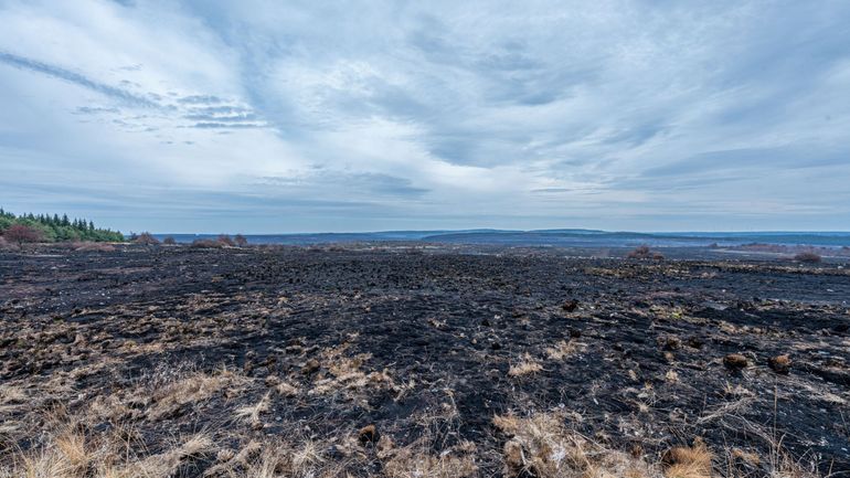 Incendie dans les Fagnes : des renforts internationaux à nouveau mobilisés dans les Fagnes