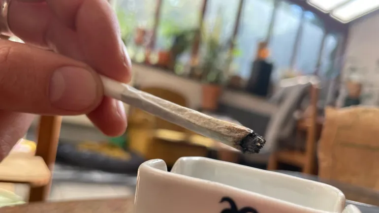 Fumer des herbes mdicinales pour remplacer le tabac est de plus en plus tendance : bon pour la sant ? - RTBF Actus Fumer des herbes mdicinales pour remplacer le tabac est de plus en plus tendance : bon pour la sant ? - RTBF Actus