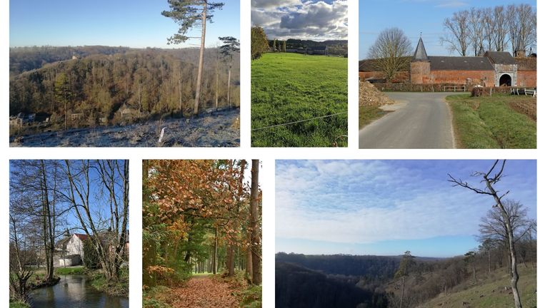 Les 9 marches Adeps du dimanche 23 novembre en Wallonie Les 9 marches Adeps du dimanche 23 novembre en Wallonie