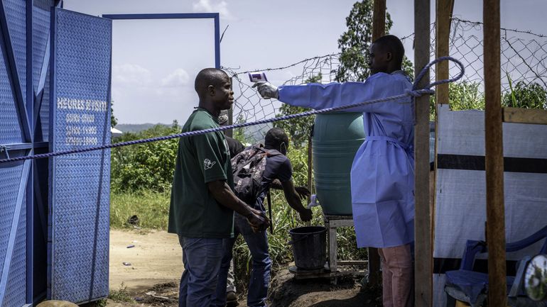 Epidémie d'Ebola : l'OMS souhaite des essais cliniques sur des vaccins et traitements contre la souche Bundibugyo