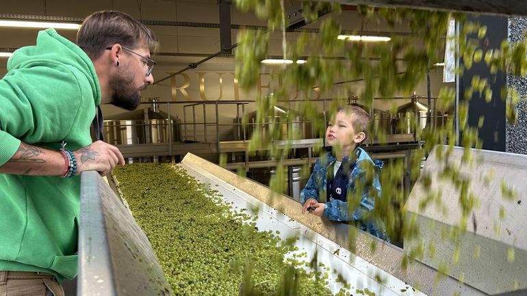 Haulchin : "C’est la toute première fois qu’on commence les vendanges au mois d’août" au Vignoble des Agaises