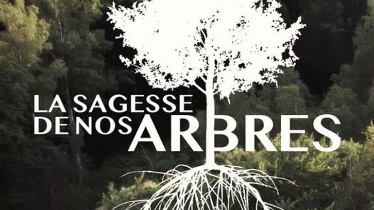 "La Sagesse de nos Arbres" un film qui met en scène les habitants de la Wallonie dans les bois, parcs et jardins de chez nous