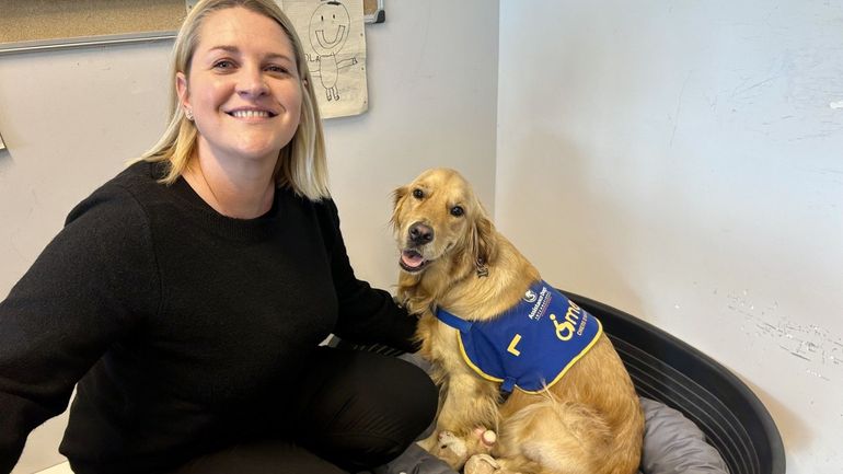 Oslo, le nouveau chien d’assistance judiciaire des policiers de la zone SECOVA Oslo, le nouveau chien d’assistance judiciaire des policiers de la zone SECOVA