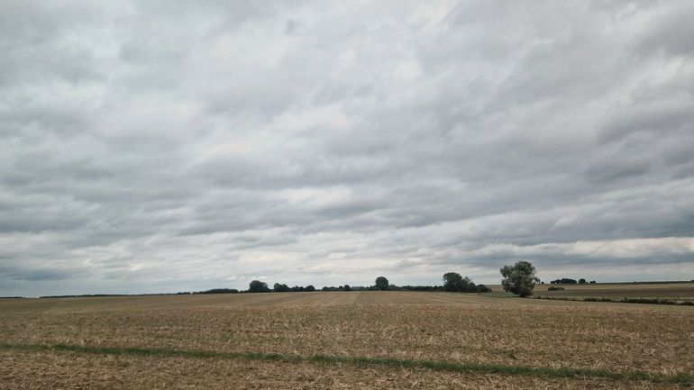 Météo en Belgique : nuageux et assez venteux aujourd’hui, week-end très ensoleillé