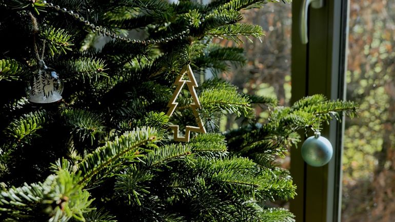 Que faire de son sapin après les fêtes ?