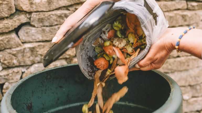 En 2024, 79% des déchets ménagers ont été recyclés en Belgique, le plastique étant le moins réutilisé